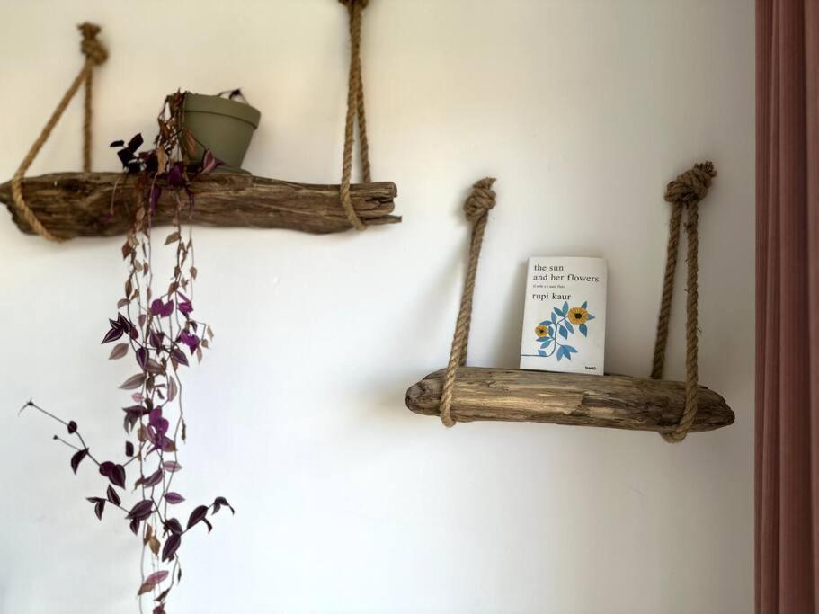 Appartement Cosy Calao - Parking Ferme Gratuit Perpignan Zewnętrze zdjęcie