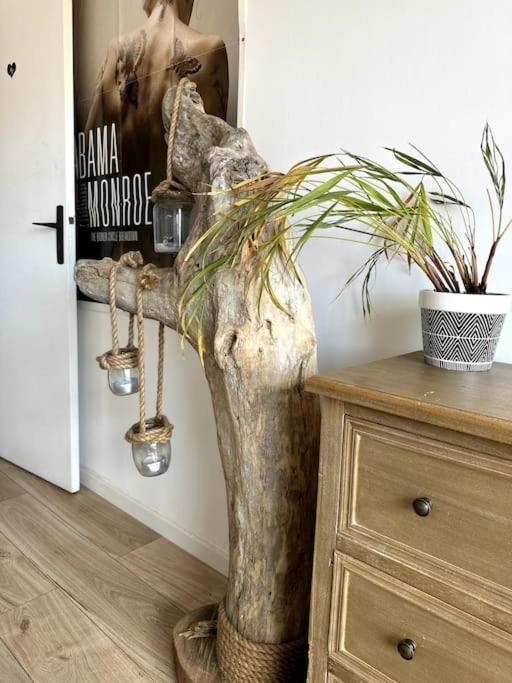Appartement Cosy Calao - Parking Ferme Gratuit Perpignan Zewnętrze zdjęcie