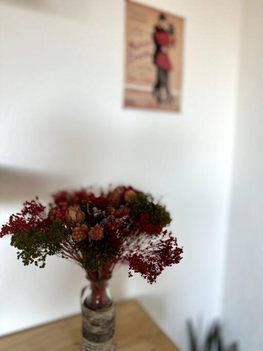 Appartement Cosy Calao - Parking Ferme Gratuit Perpignan Zewnętrze zdjęcie