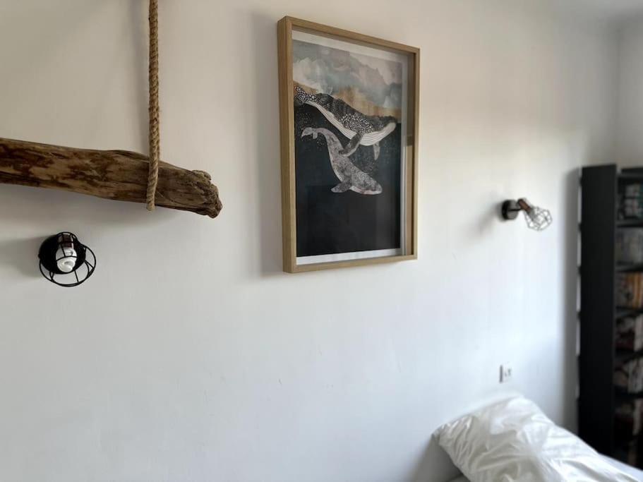 Appartement Cosy Calao - Parking Ferme Gratuit Perpignan Zewnętrze zdjęcie