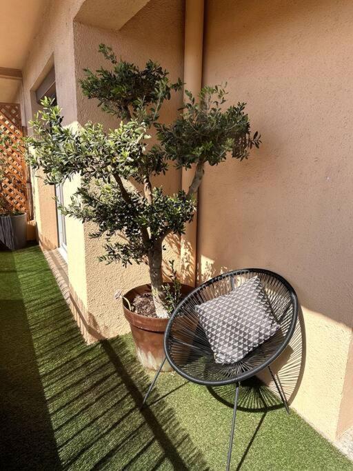 Appartement Cosy Calao - Parking Ferme Gratuit Perpignan Zewnętrze zdjęcie